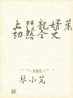 上门龙婿叶辰萧初然全文封面