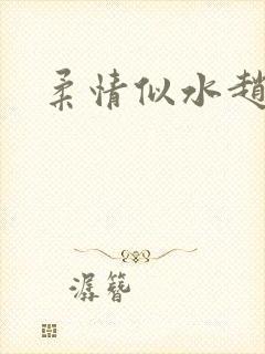 柔情似水赵雅儿封面
