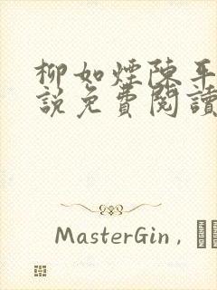 柳如烟陈平安小说免费阅读全文