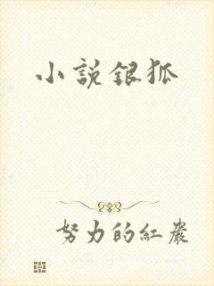 小说银狐
