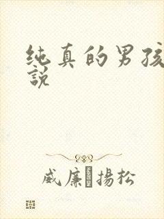 纯真的男孩子小说封面