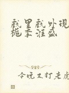 戏里戏外现场林栀季淮盛封面