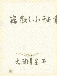窃欢(小秘书)