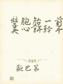 双胞胎一前一后夹心饼干年下