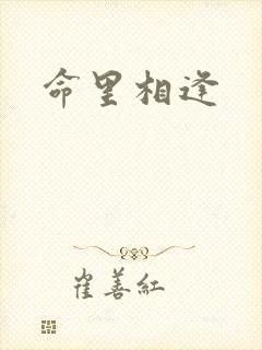 命里相逢