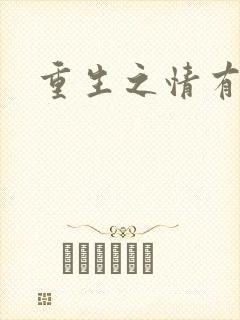 重生之情有独钟