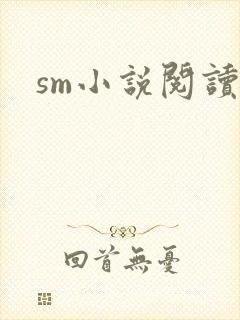 sm小说阅读