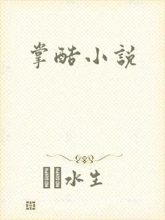 掌酷小说