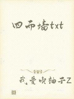 四面墙txt