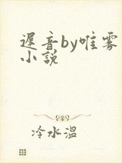 迟音by唯雾的小说