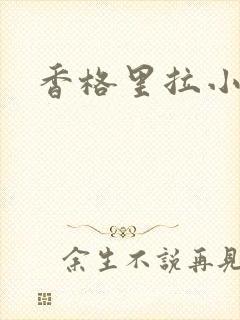 香格里拉小说封面