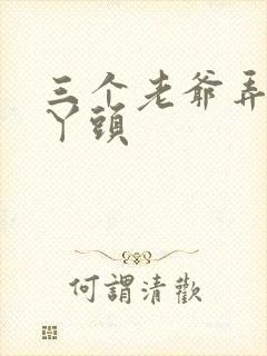 三个老爷弄一个丫头封面