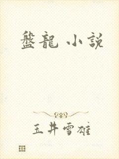盘龙 小说