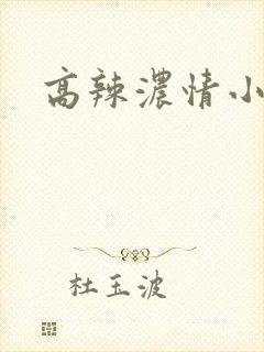 高辣浓情小说