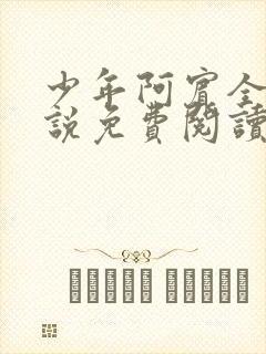 少年阿宾全文小说免费阅读笔趣阁