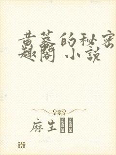 黄蓉的秘密 笔趣阁 小说