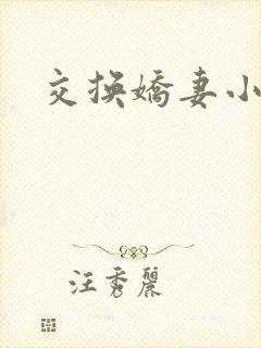 交换娇妻小说
