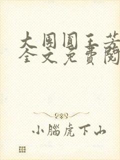 大团圆王芳高敏全文免费阅读封面