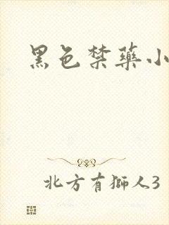 黑色禁药小说