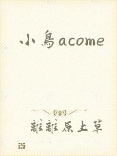 小鸟acome封面