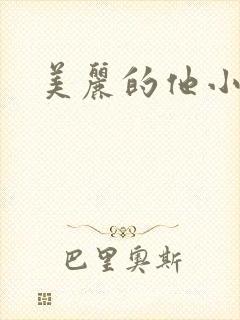 美丽的他小说