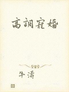 高调宠婚封面