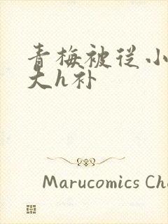 青梅被从小摸到大h补
