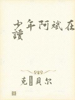 少年阿斌在线阅读