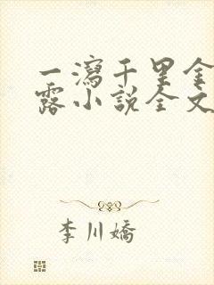 一泻千里金银花露小说全文免费阅读