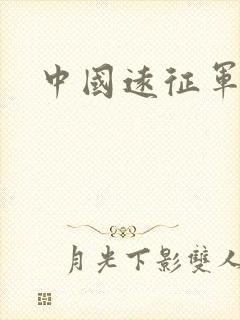 中国远征军小说