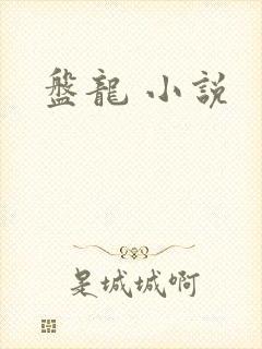 盘龙 小说