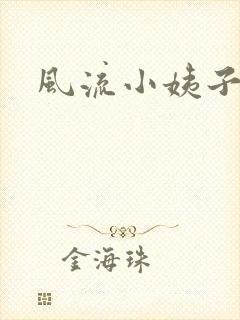风流小姨子封面