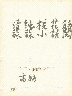 清纯校花的日常苏苏小说阅读全文封面