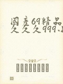 国产69精品久久久久999小说