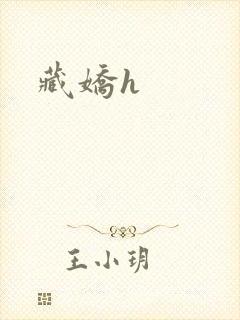 藏娇h封面