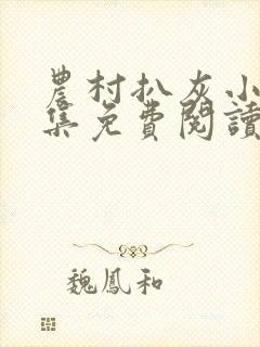 农村扒灰小说全集免费阅读