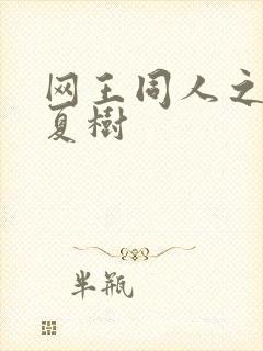 网王同人之桃生夏树封面