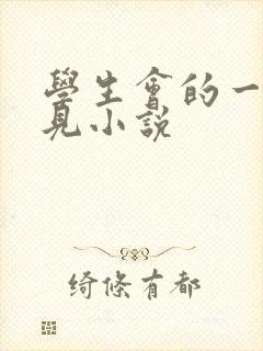 学生会的一己之见小说封面
