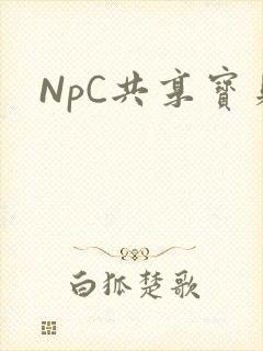 NpC共享宝贝