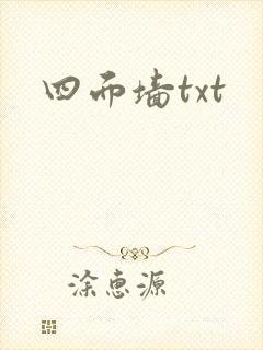 四面墙txt封面