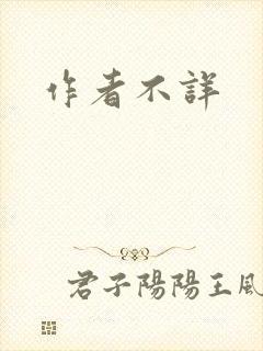 作者不详封面