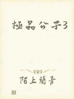极品公子3