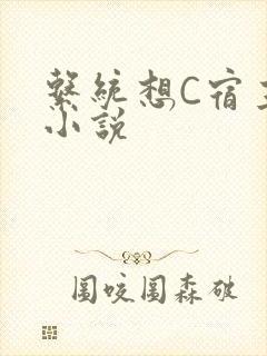 系统想C宿主的小说