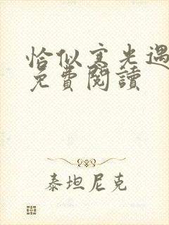 恰似寒光遇骄阳免费阅读封面