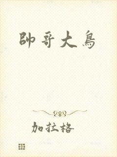 帅哥大鸟