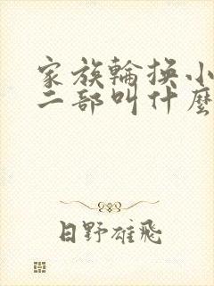 家族轮换小说第二部叫什么名字
