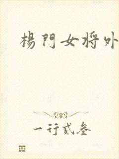 杨门女将外传