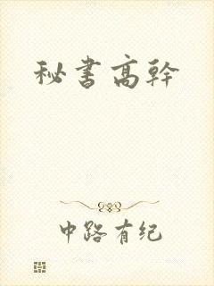 秘书高干封面