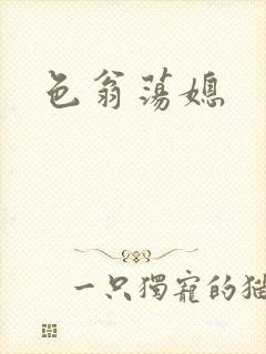色翁荡媳