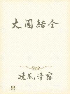 大团结全